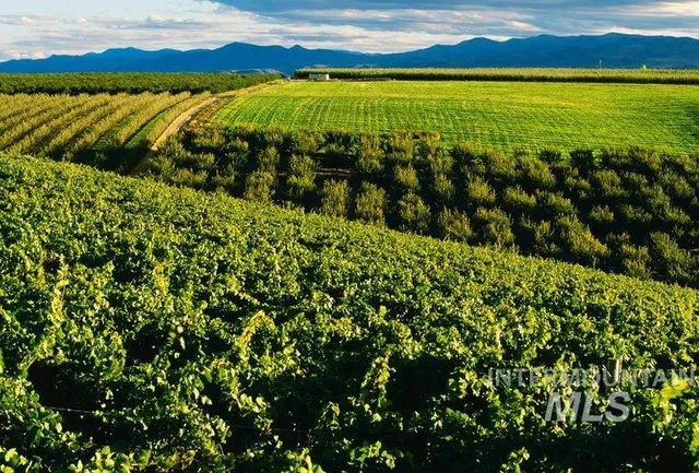 $649,900 | Tbd Fran Lane, Wilder, ID 83676