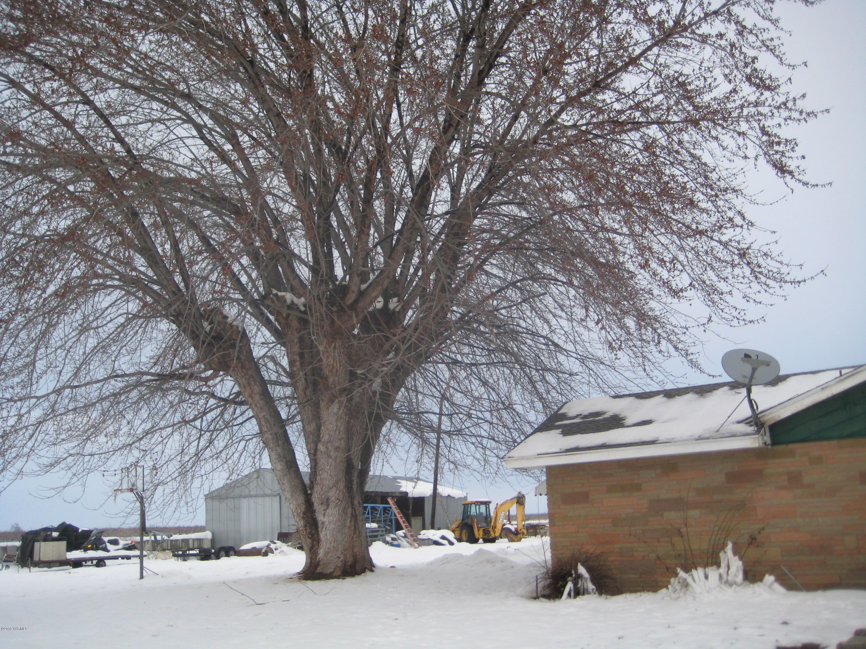 5900 Ashue Road Wapato, WA 98951 - Photo 8 of 60 a view of a street with a large tree