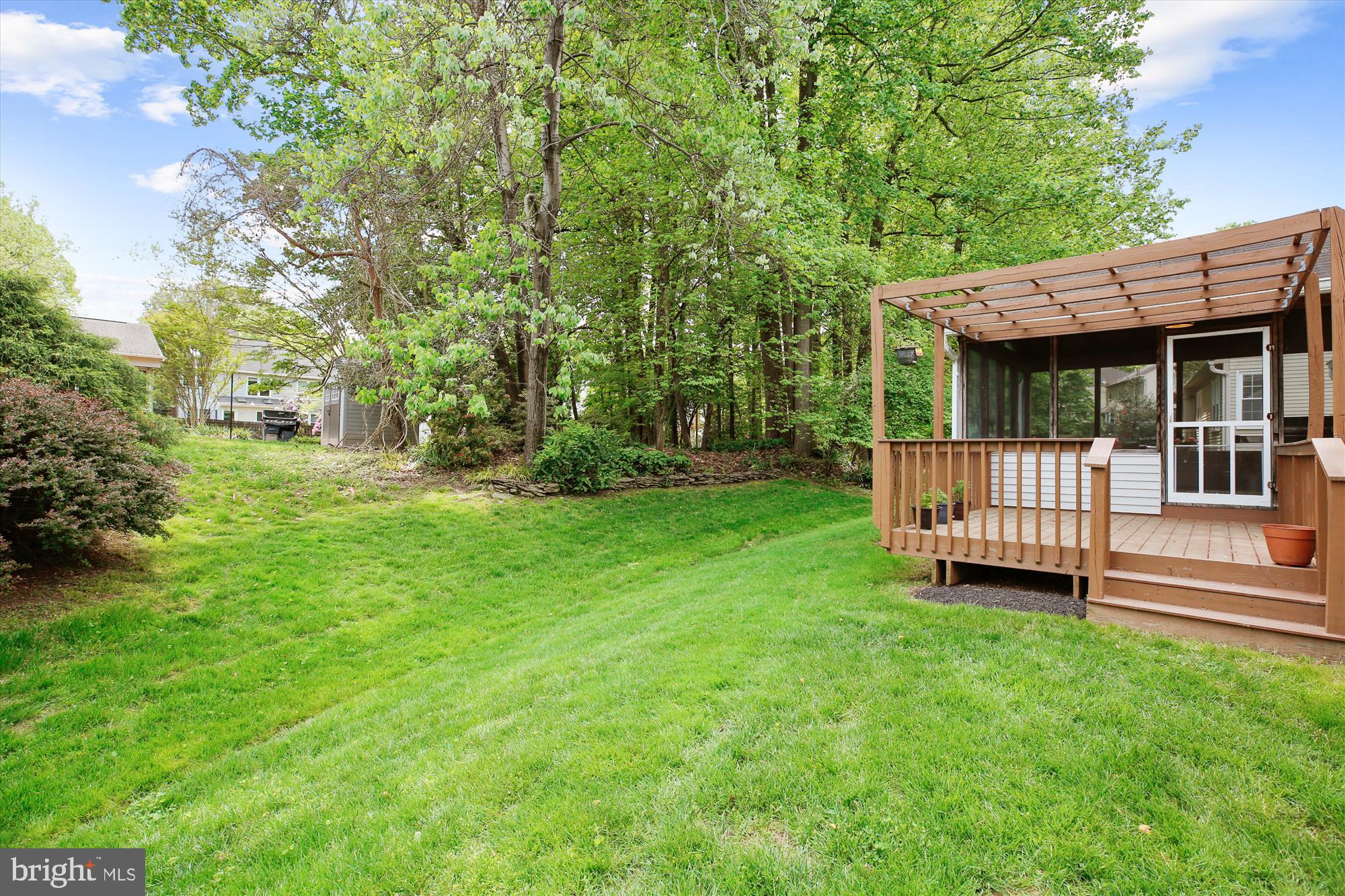 810 Bromley Street Silver Spring, MD 20902 - Photo 42 of 44 Back Yard