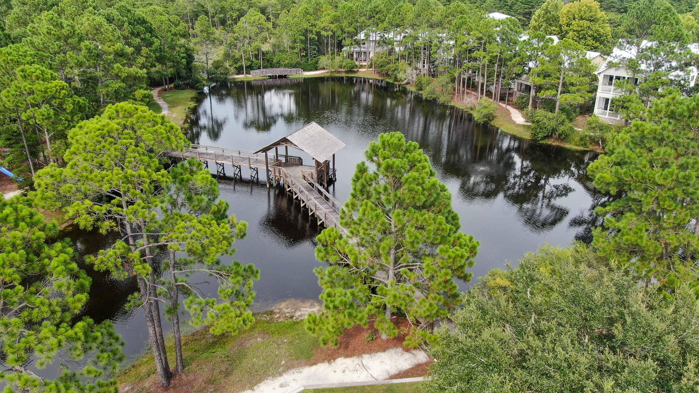 11 Lanier Santa Rosa Beach, FL 32459 - Photo 12 of 73 DJI_0470