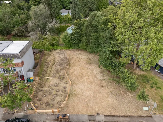 a view of a yard with plants
