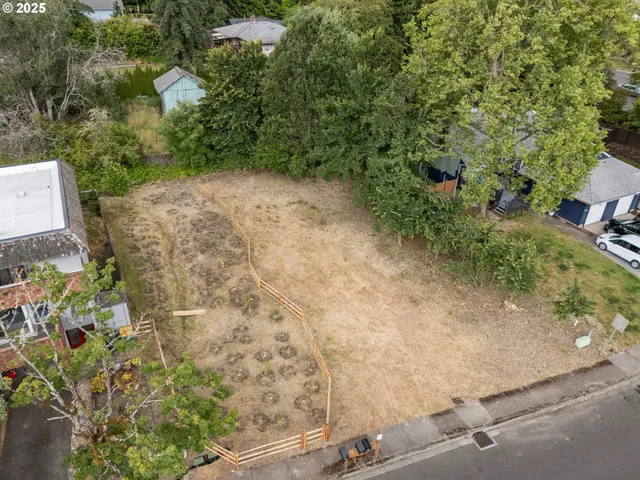 a view of a yard with plants