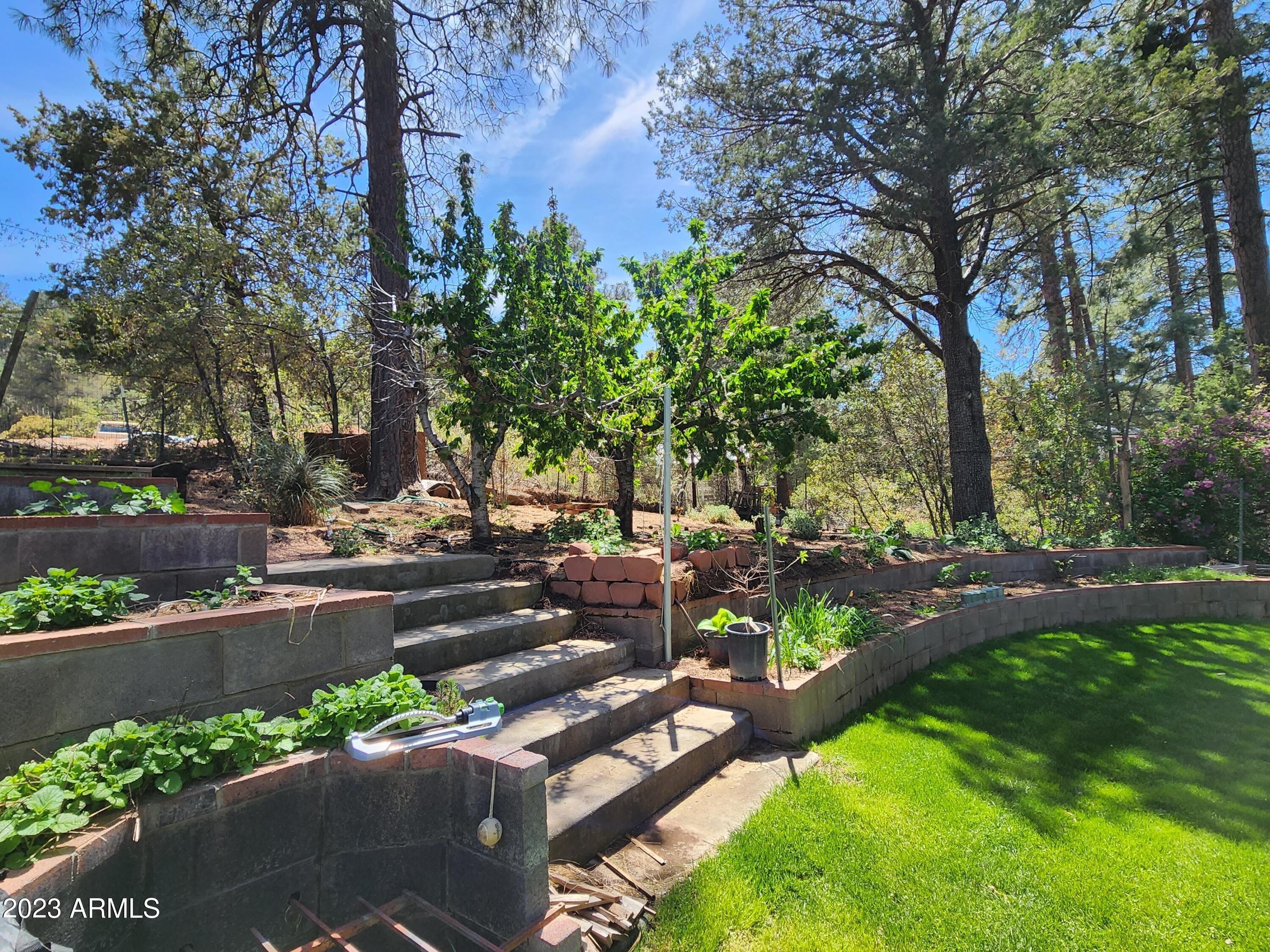 810 North Briarwood Road Payson, AZ 85541 - Photo 53 of 53 Cherry Trees now with fruit