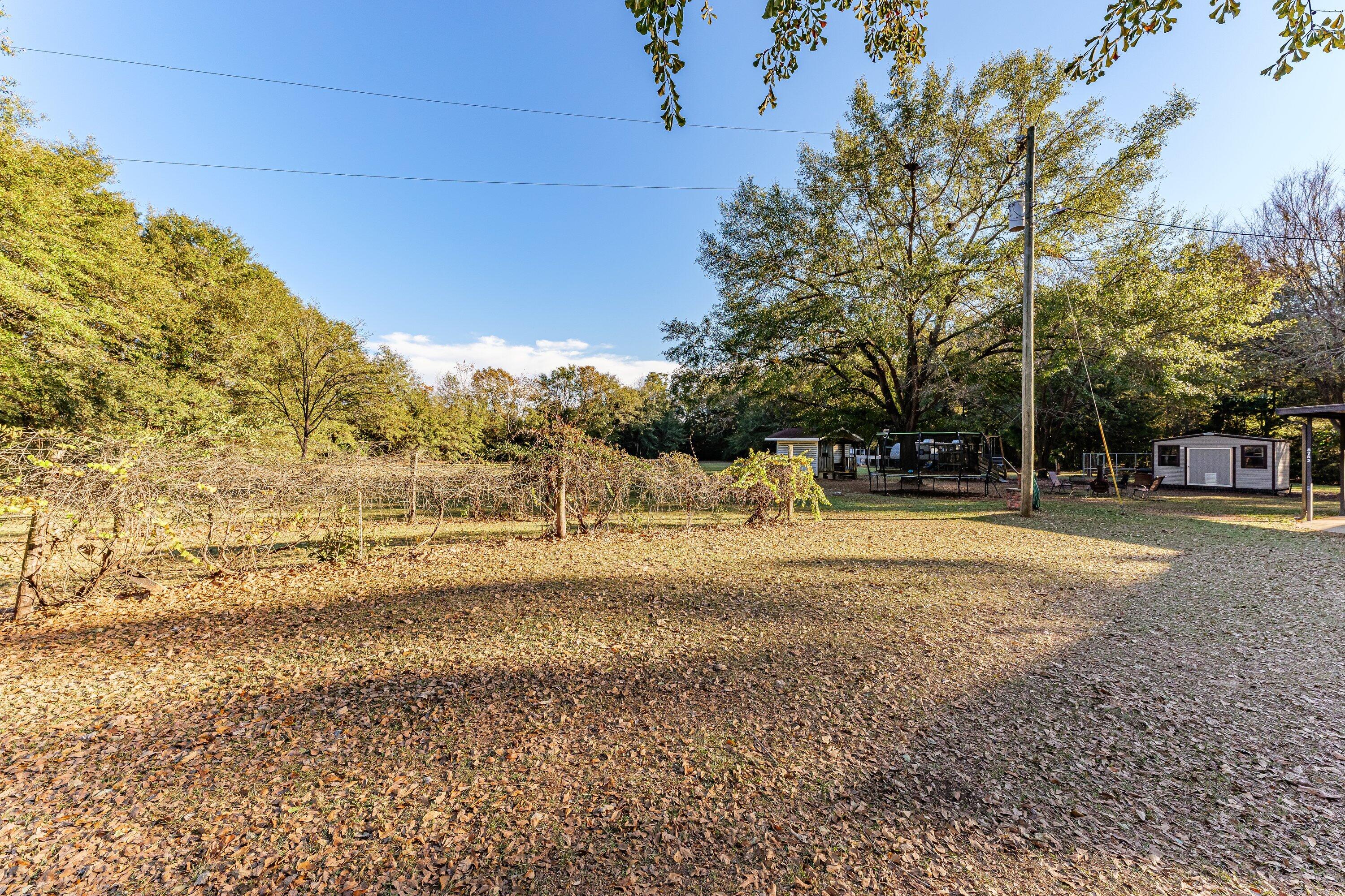 8782 Campground Road Matthews, GA 30818 - Photo 19 of 22 P1639764