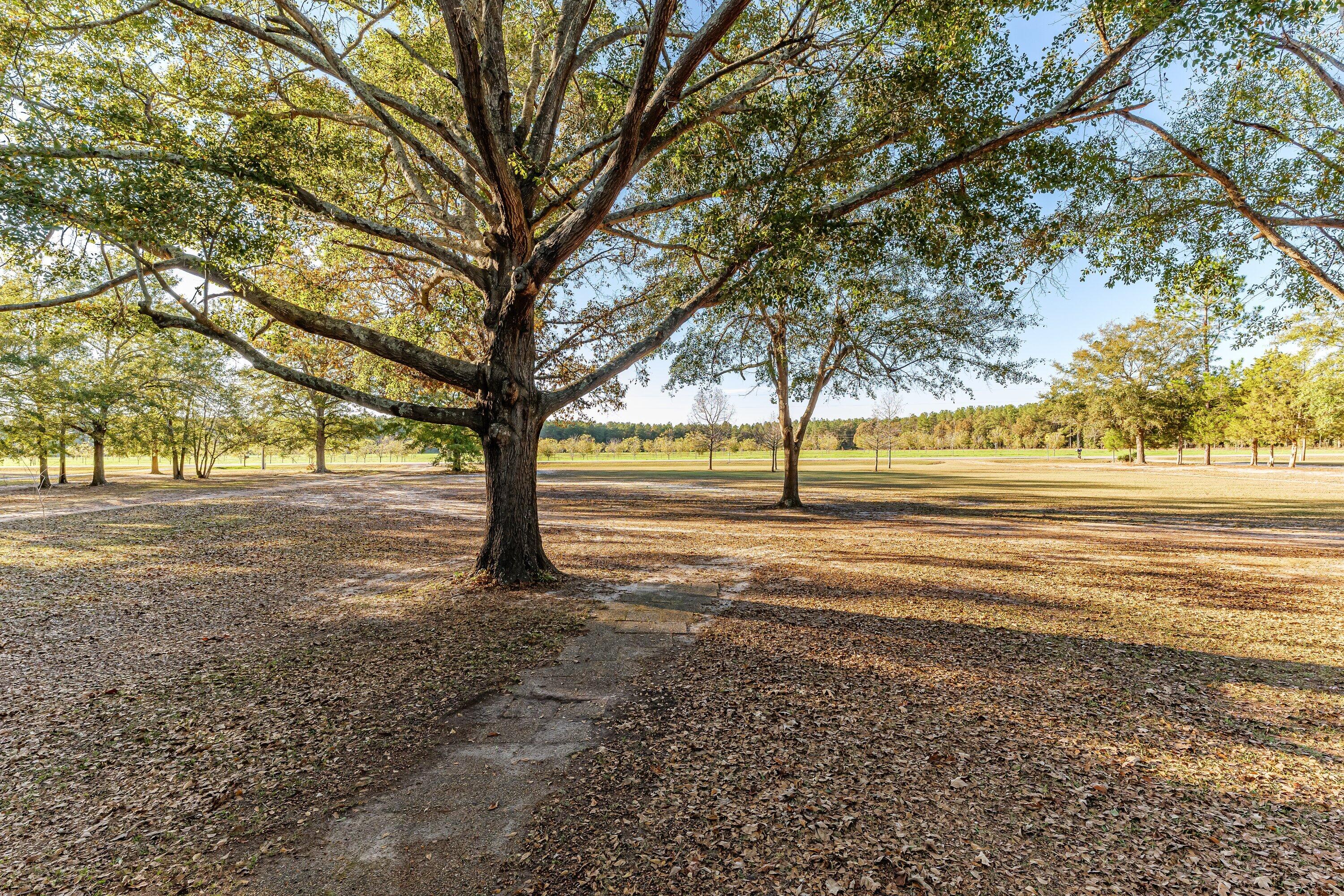 8782 Campground Road Matthews, GA 30818 - Photo 4 of 22 P1639779
