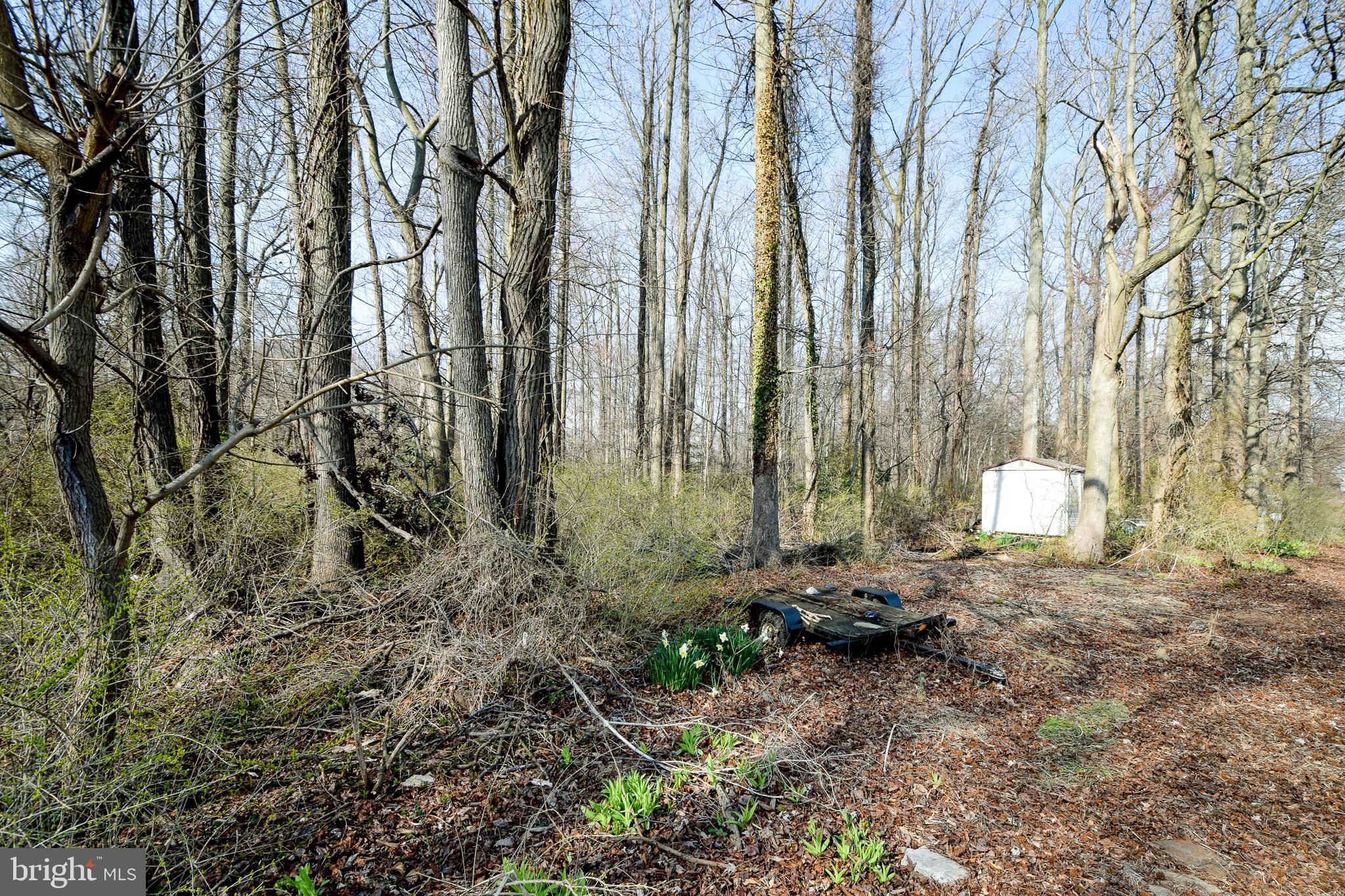 3904 Goose Harbor Road Middle River, MD 21220 - Photo 14 of 25