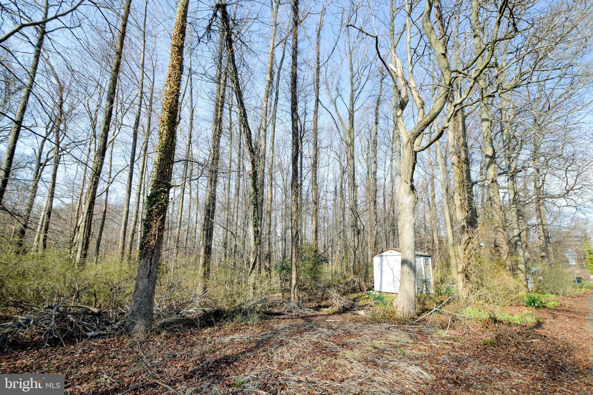 3904 Goose Harbor Road Middle River, MD 21220 - Photo 15 of 25