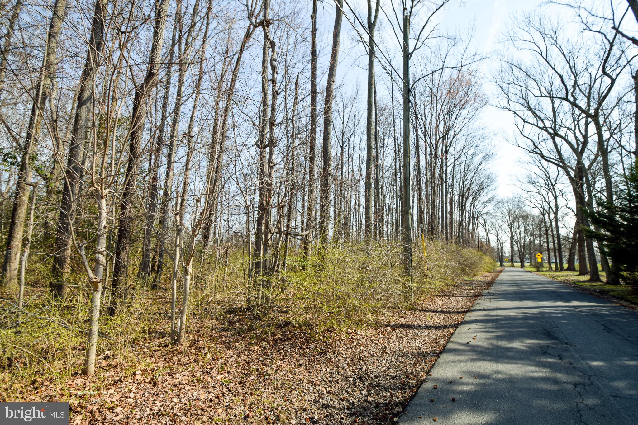 3904 Goose Harbor Road Middle River, MD 21220 - Photo 18 of 25