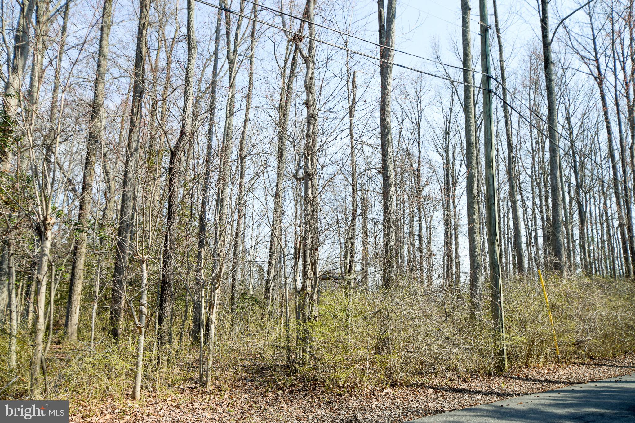 3904 Goose Harbor Road Middle River, MD 21220 - Photo 20 of 25