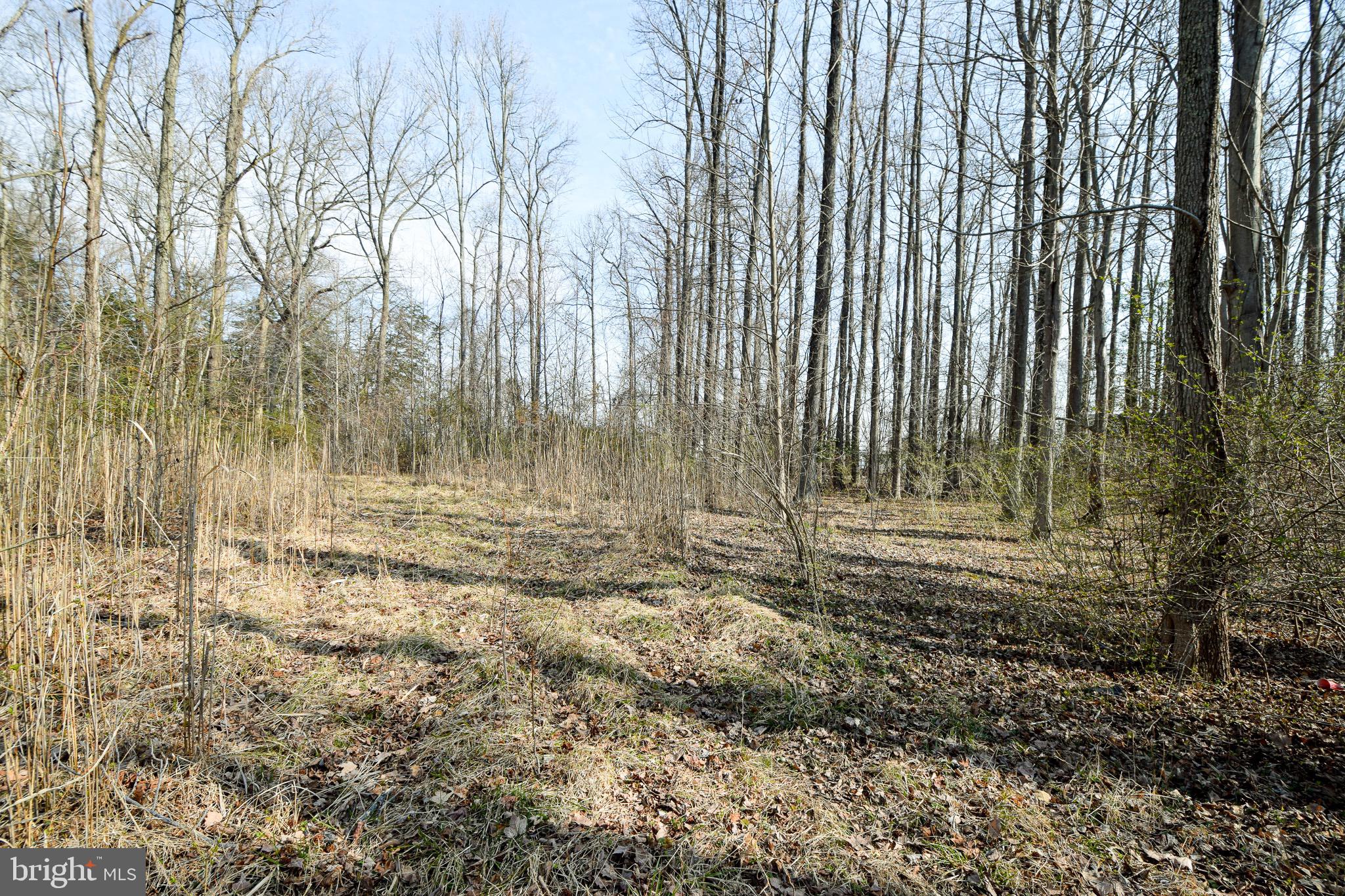 3904 Goose Harbor Road Middle River, MD 21220 - Photo 23 of 25