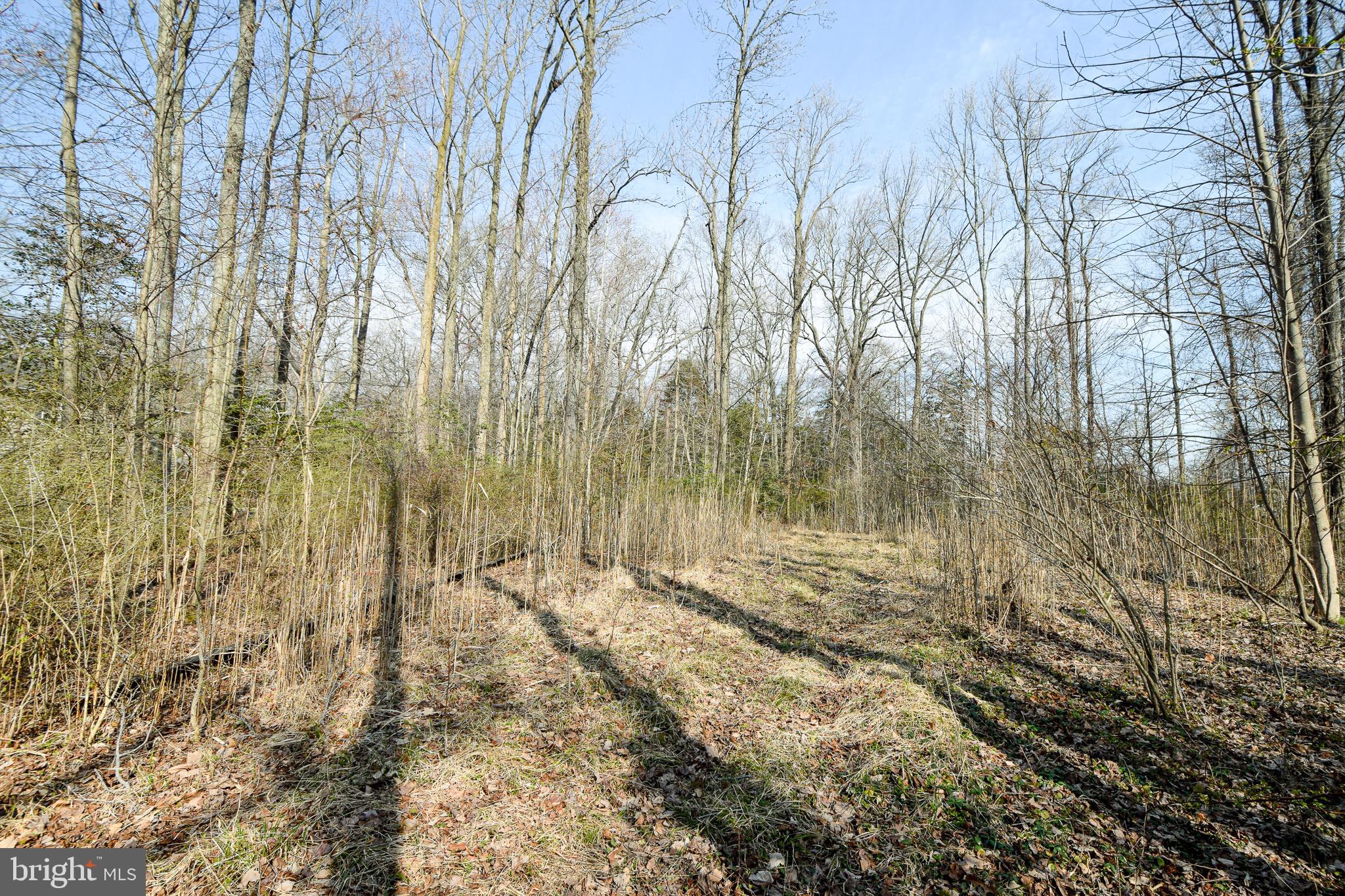 3904 Goose Harbor Road Middle River, MD 21220 - Photo 24 of 25