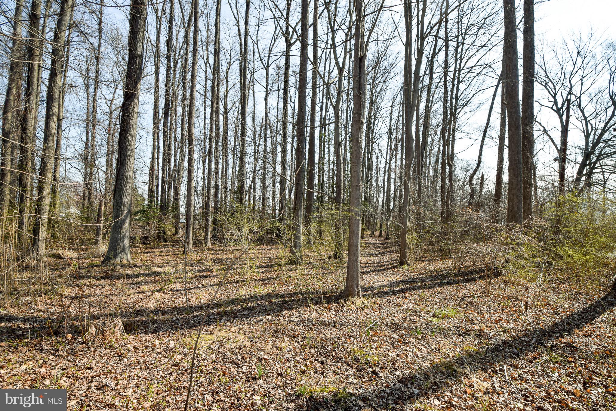 3904 Goose Harbor Road Middle River, MD 21220 - Photo 25 of 25