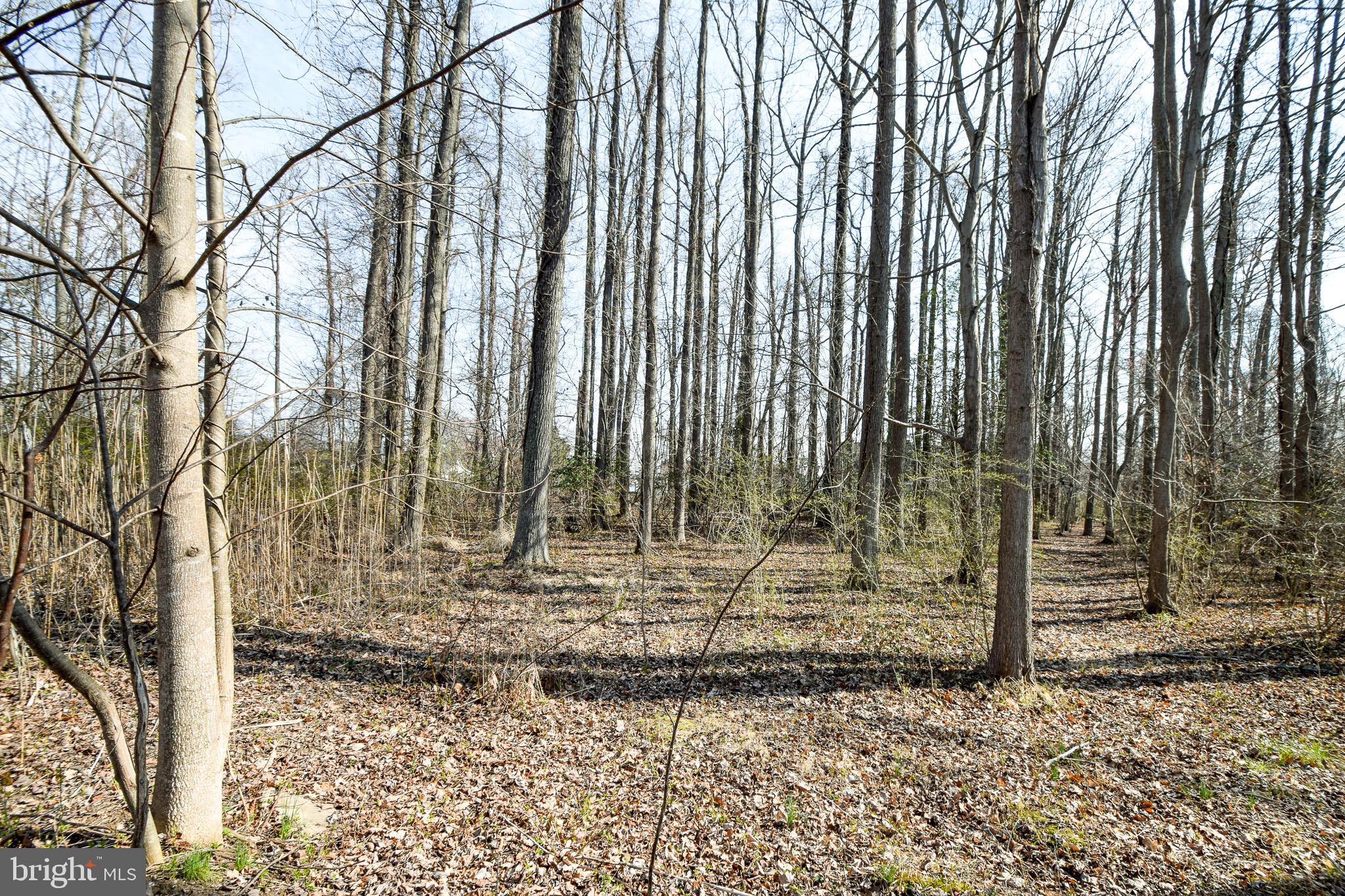 3904 Goose Harbor Road Middle River, MD 21220 - Photo 5 of 25