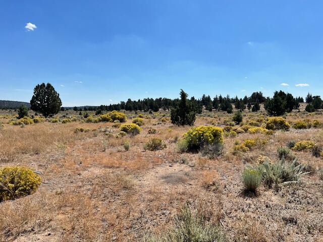 6520 Do Bend, OR 97701 - Photo 3 of 22 IMG_1806