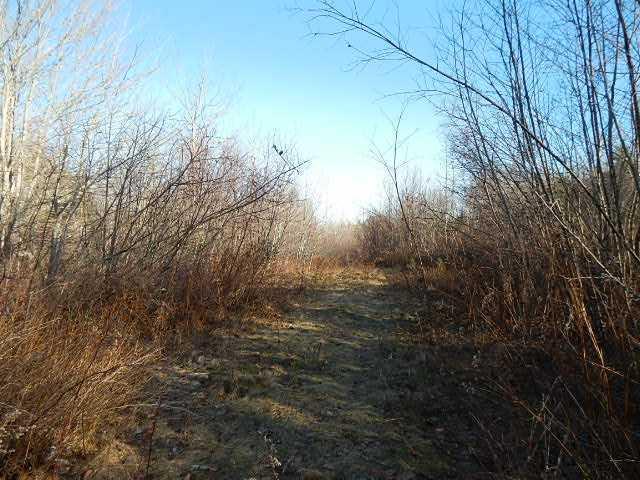 Lot 1 Route 182 Steuben, ME 04680 - Photo 4 of 8 Other. Access Road