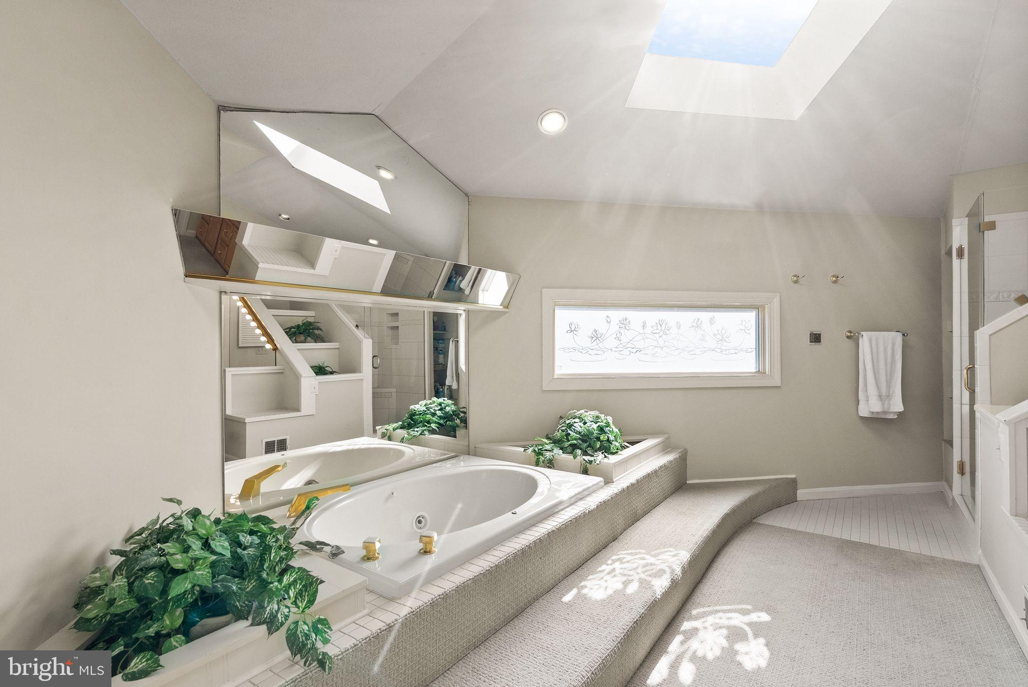 1539 Cedar Avenue McLean, VA 22101 - Photo 22 of 30 Jacuzzi Tub
