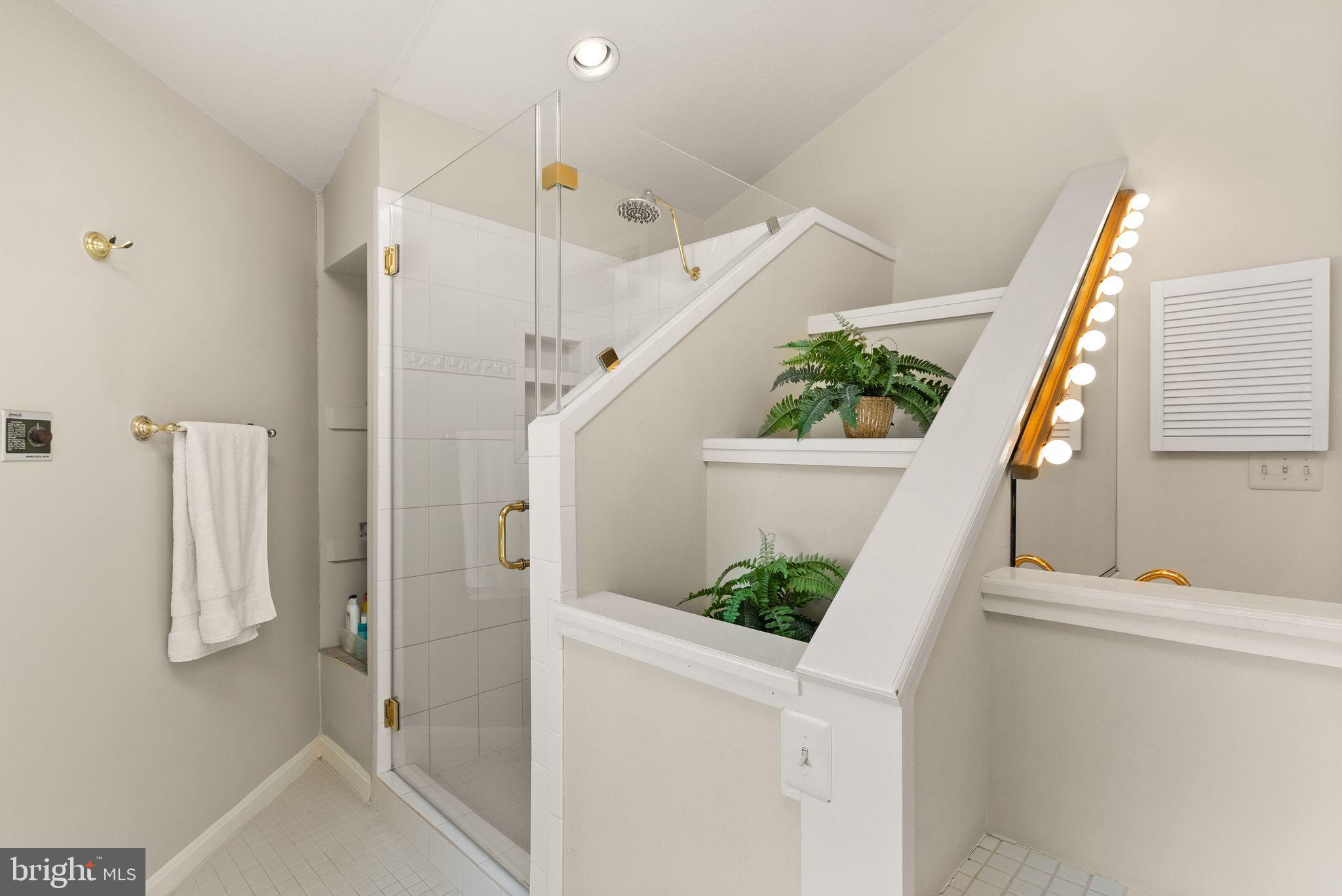 1539 Cedar Avenue McLean, VA 22101 - Photo 24 of 30 Shower