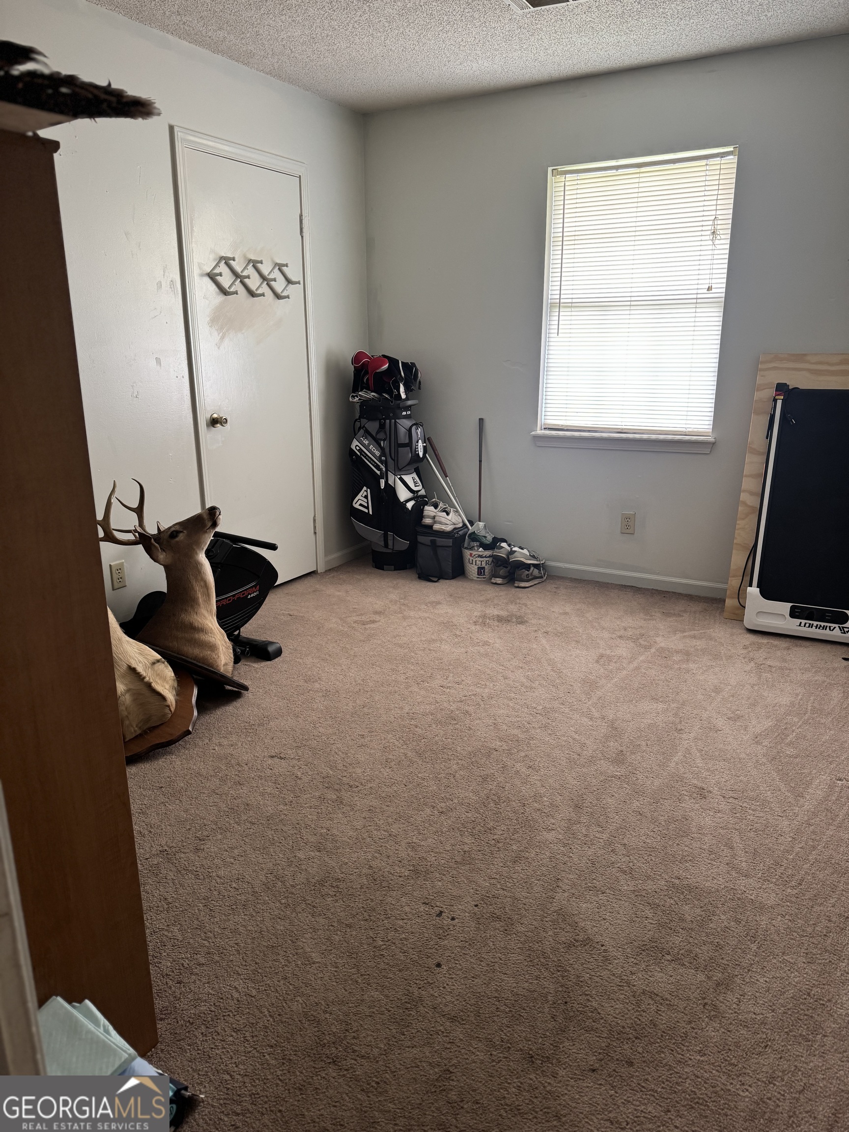 102 West Palm Road Hazlehurst, GA 31539 - Photo 16 of 17