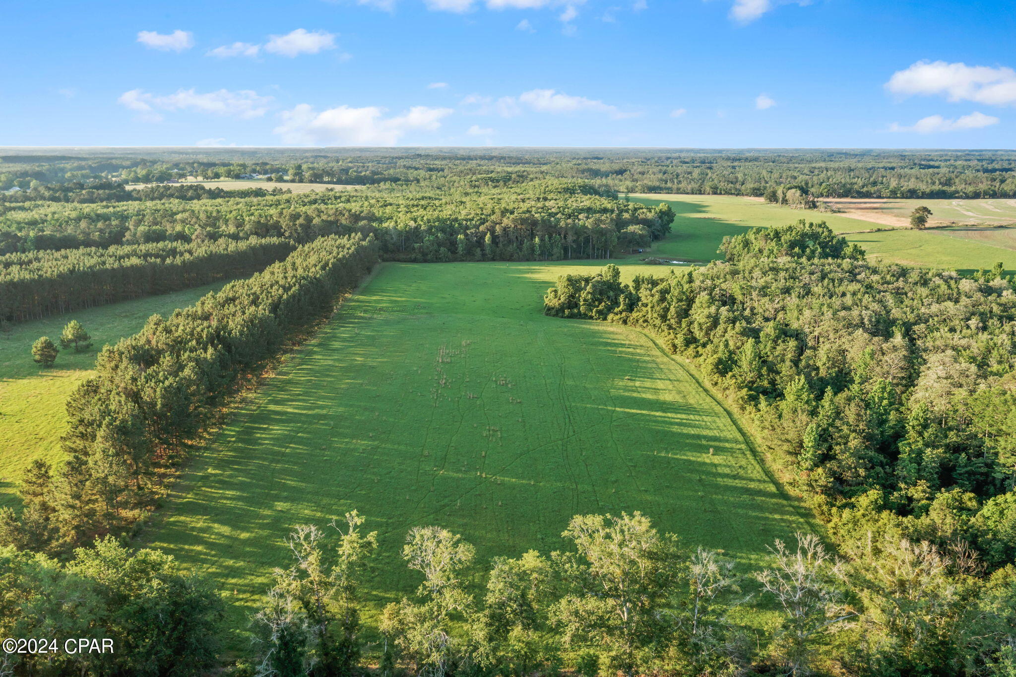 3374 Parrish Road Bonifay, FL 32425 - Photo 20 of 26 Gallery Image 20