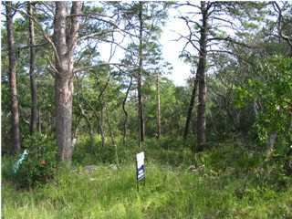 2 Spotted Dolphin Road Santa Rosa Beach, FL 32459 - Photo 1 of 6 a view of a forest with trees