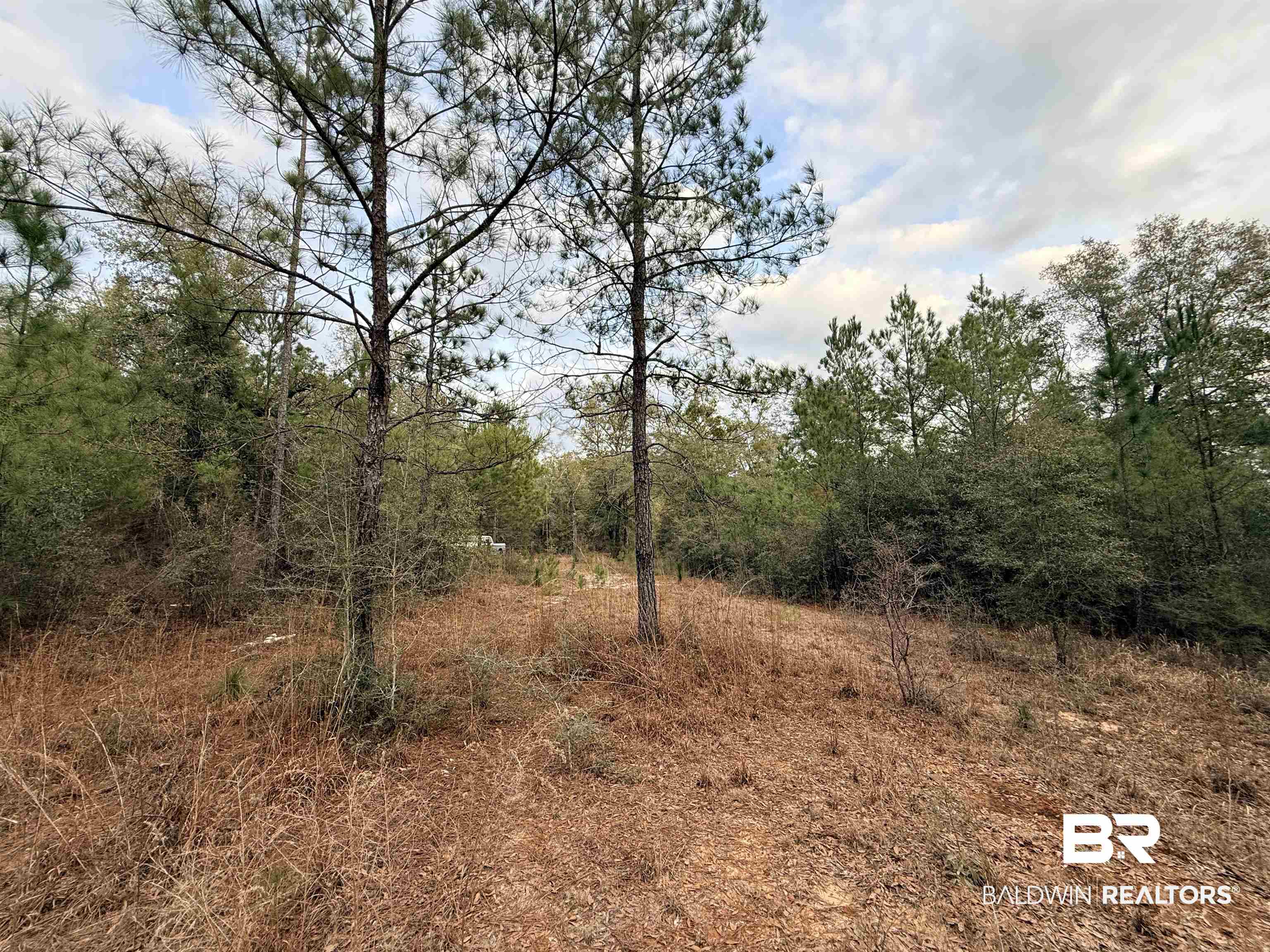9325 Georgetown Hills Road West Wilmer, AL 36587 - Photo 6 of 11