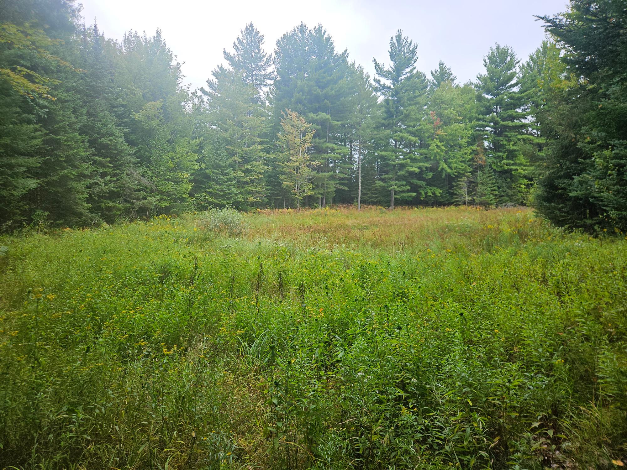 W6964 Holy Cross Road Phillips, WI 54555 - Photo 15 of 26 Gallery Image 15