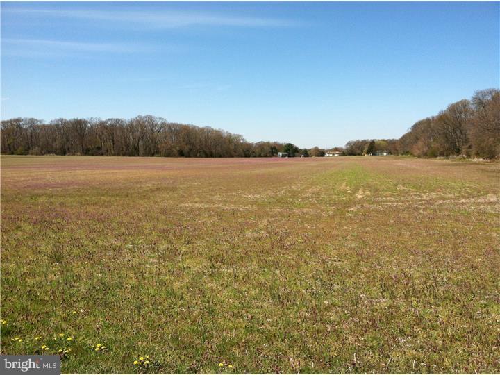 790 Centerton Road Elmer, NJ 08318 - Photo 1 of 8
