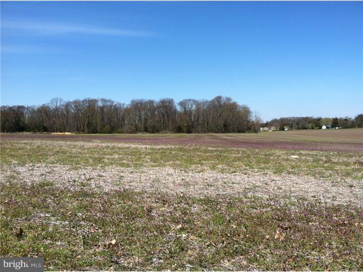790 Centerton Road Elmer, NJ 08318 - Photo 2 of 8