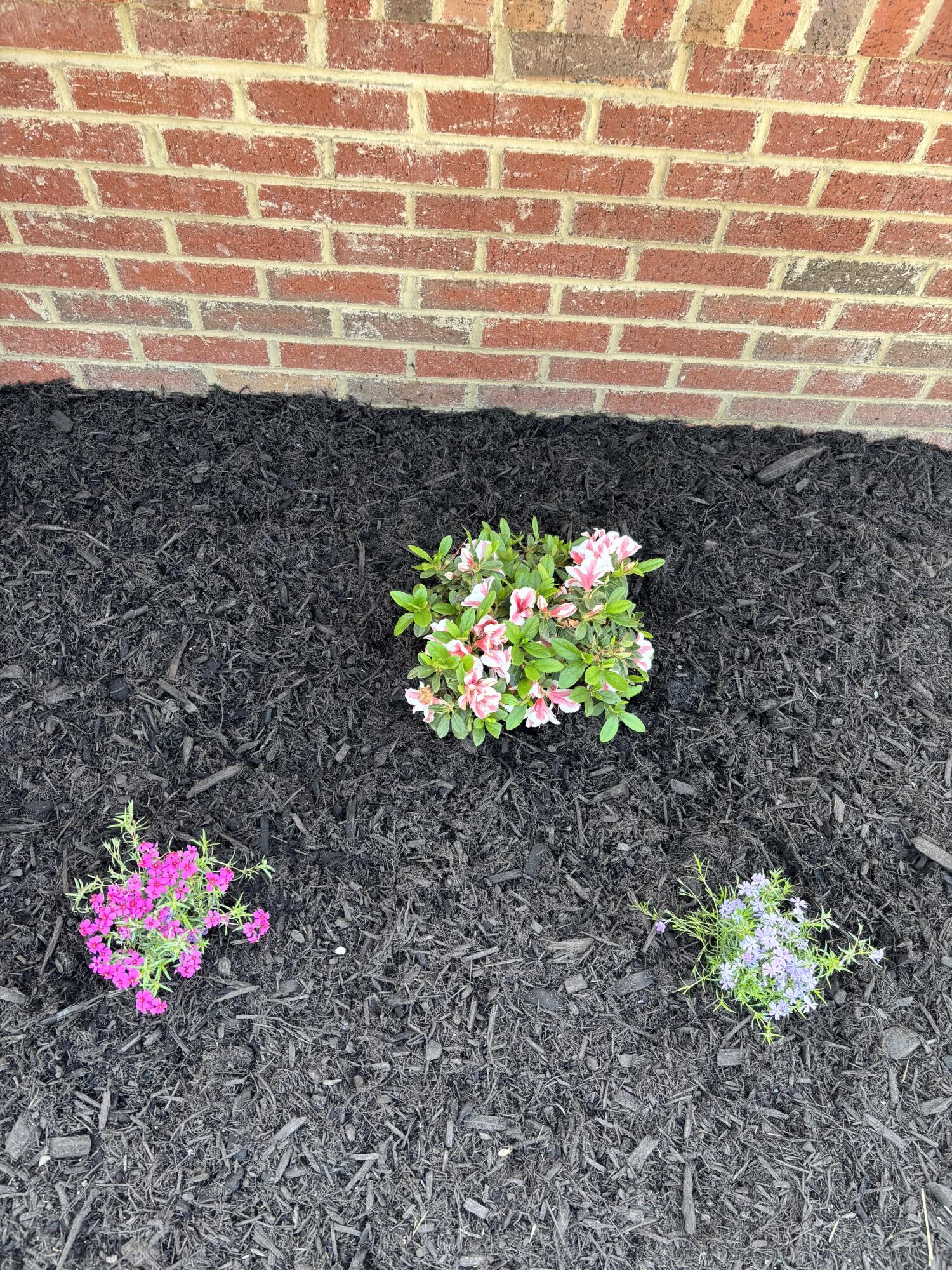 1806 Ocoee Street Chattanooga, TN 37406 - Photo 3 of 24 IMG_3109