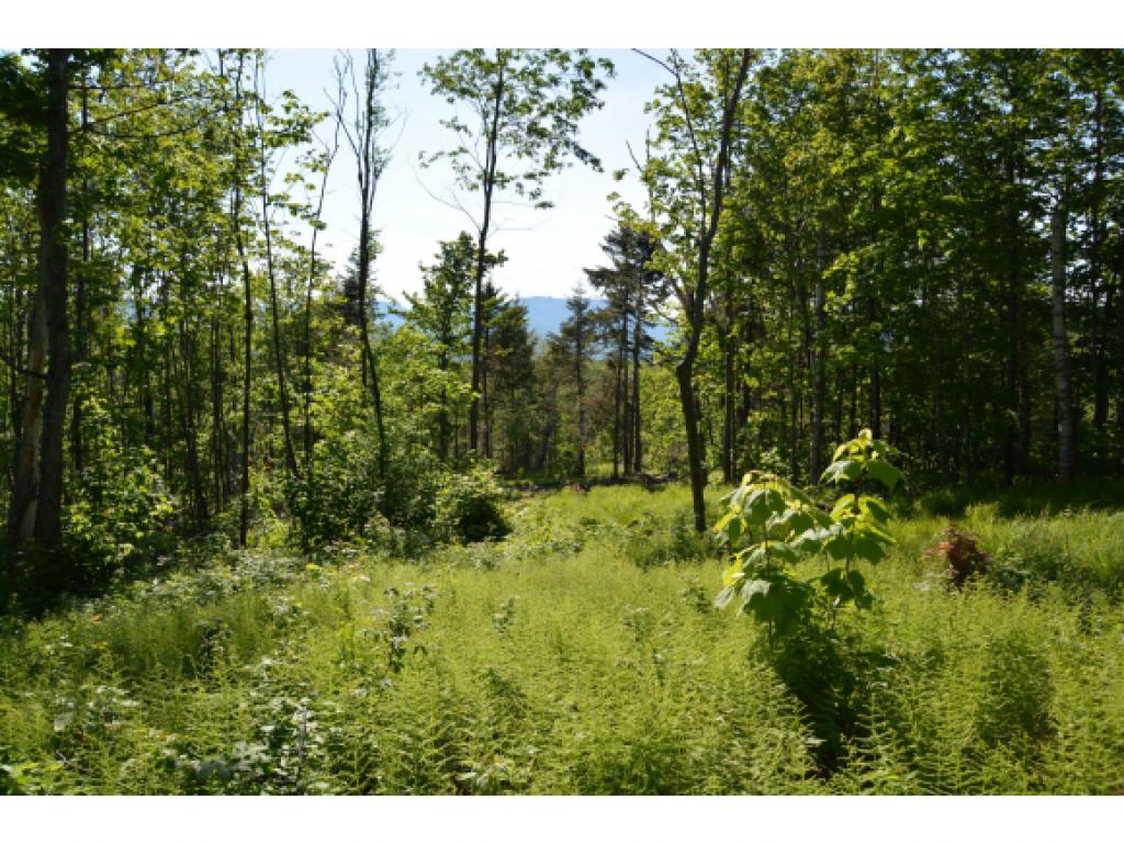 3456 Irish Hill Road Lowell, VT 05847 - Photo 22 of 28