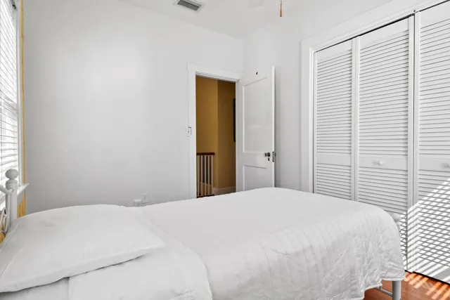 a view of a yard with a palm tree