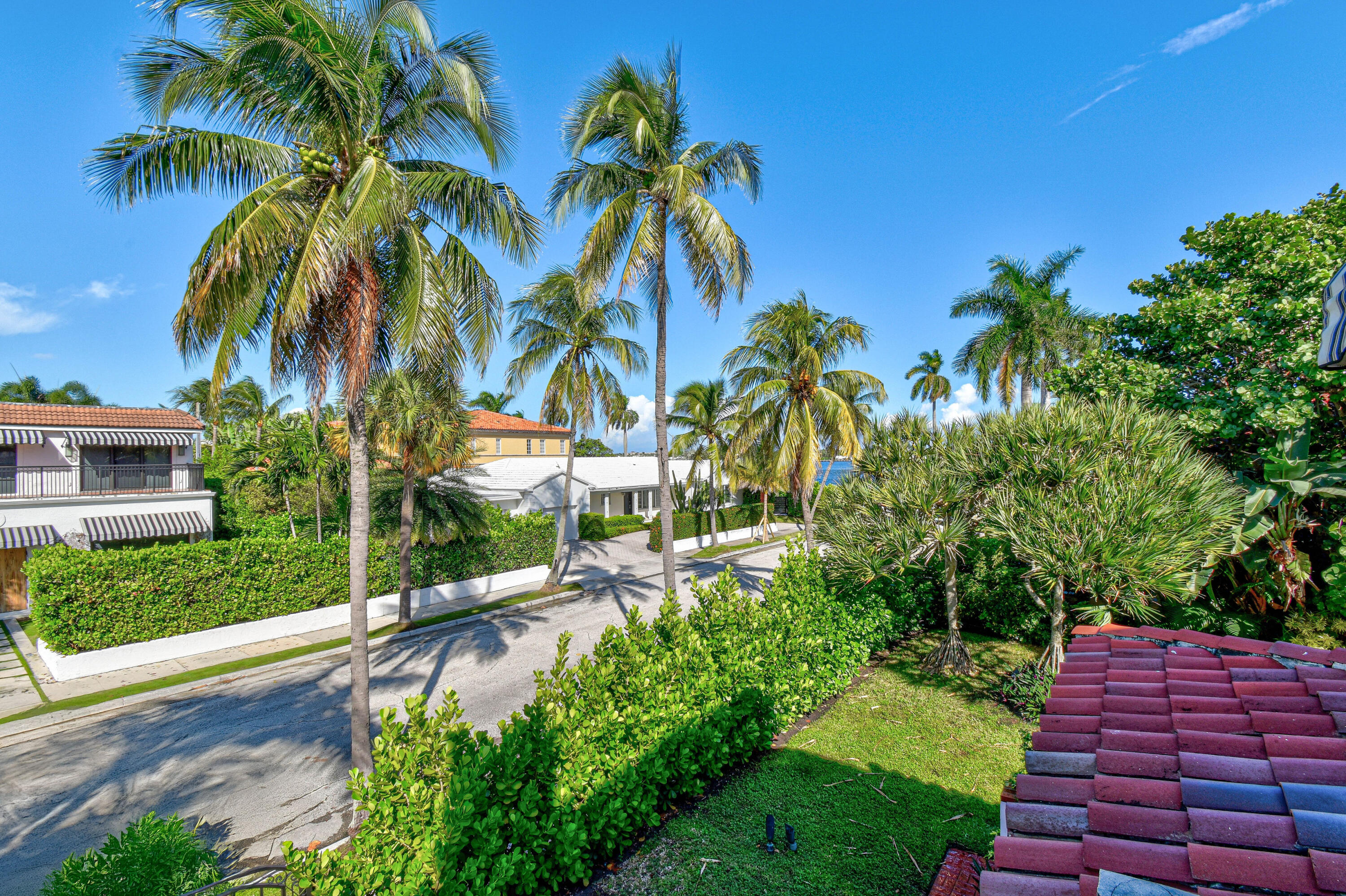 194 Almeria Road West Palm Beach, FL 33405 - Photo 58 of 67 a view of a yard with a palm tree