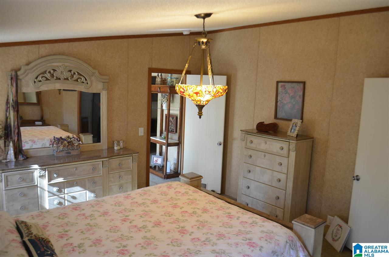 799 Pleasant Hills Road Odenville, AL 35120 - Photo 33 of 49