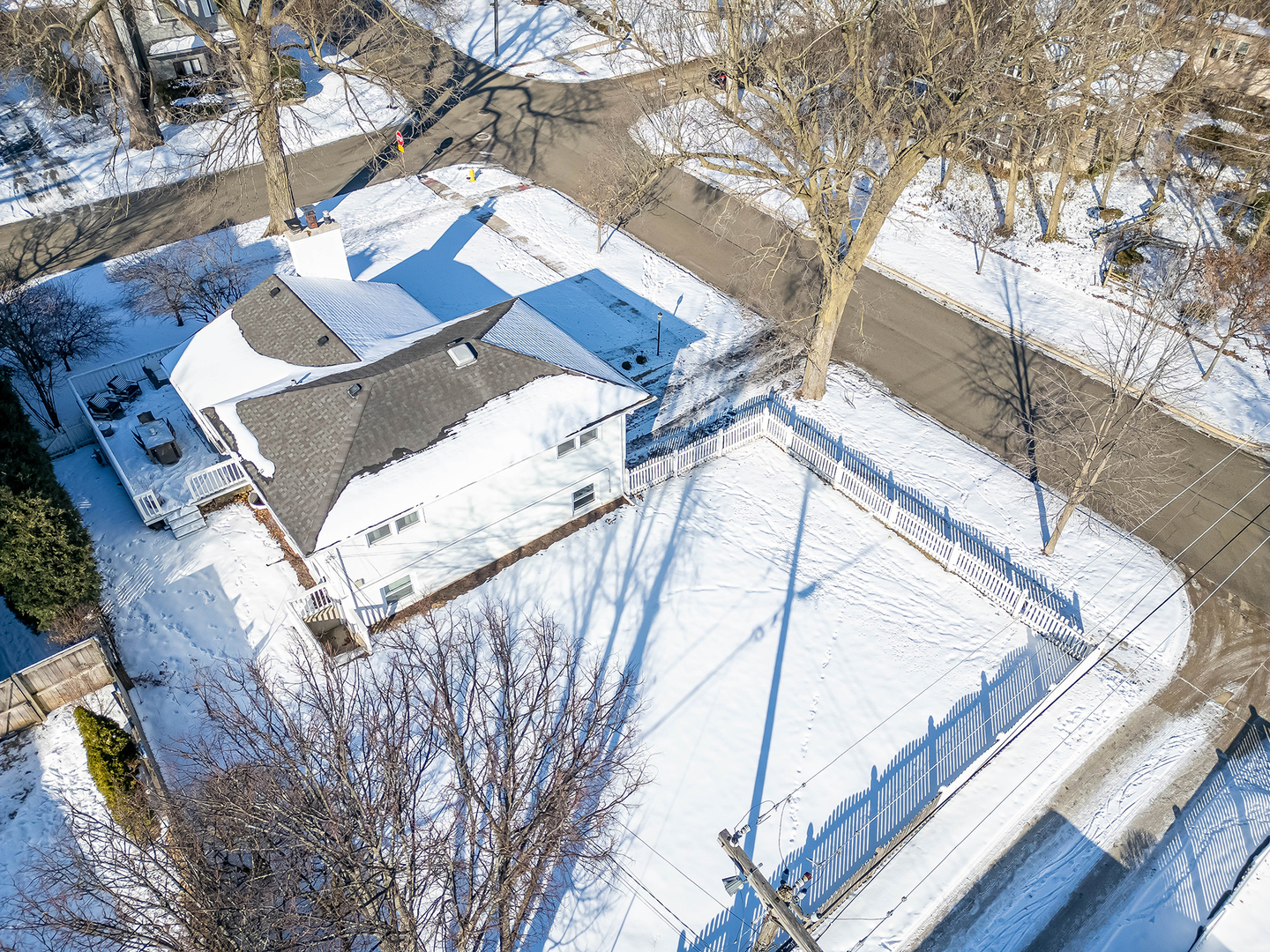 742 West Chestnut Street Hinsdale, IL 60521 - Photo 22 of 29