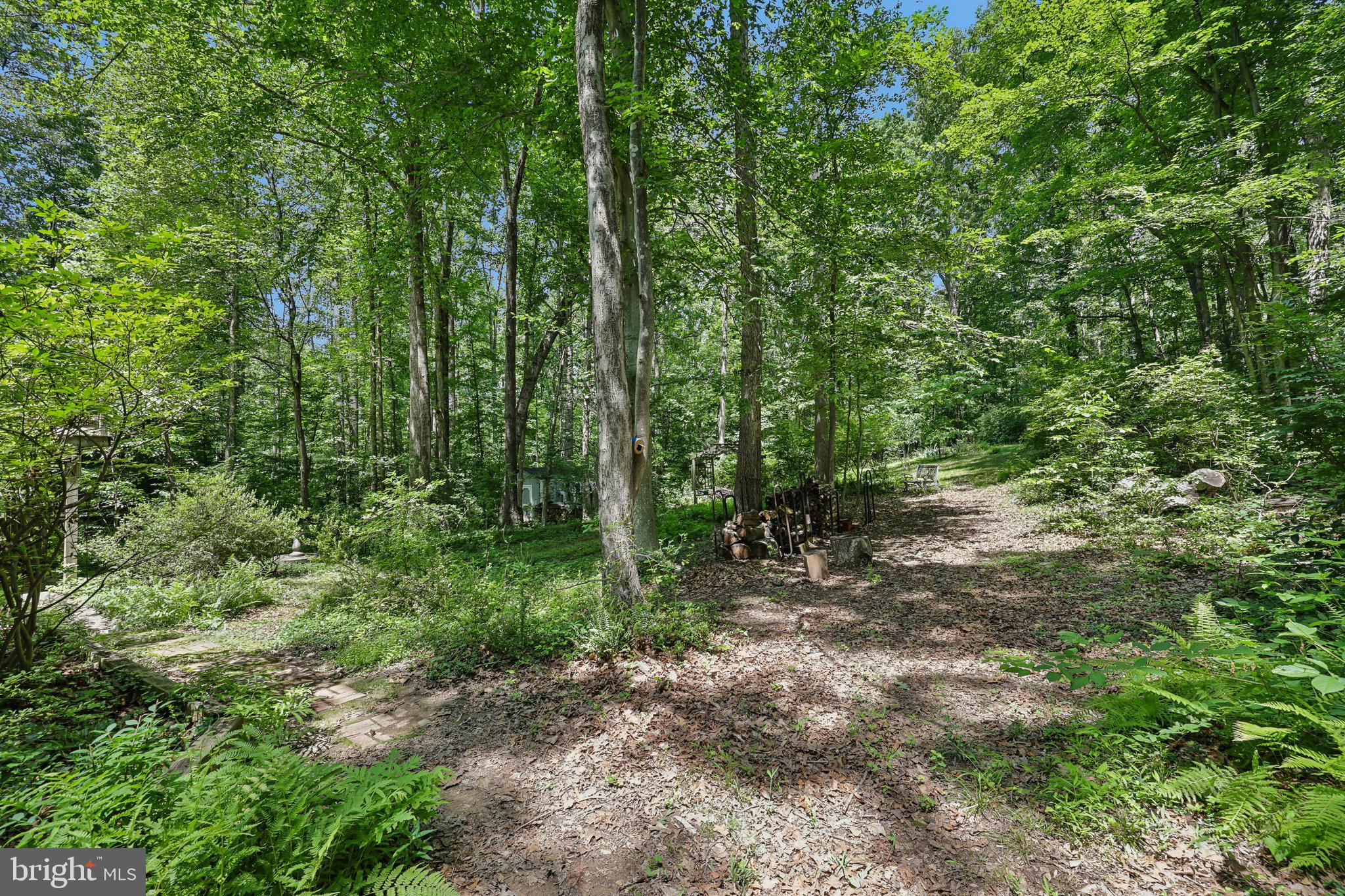 13437 Bristow Road Nokesville, VA 20181 - Photo 57 of 69
