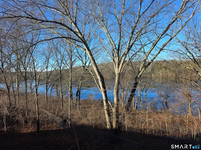 a view of outdoor space with lots of trees