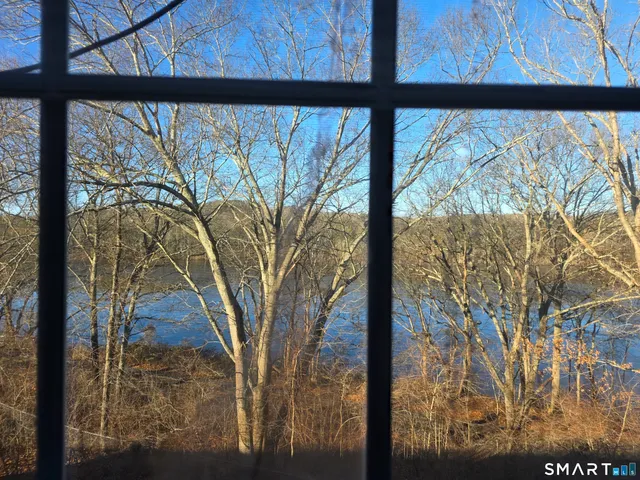 a view of a porch with a tree in the background