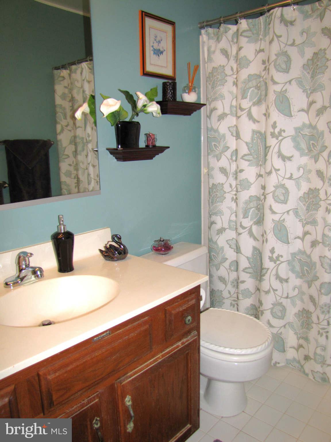 8208 Rippling Branch Road Laurel, MD 20723 - Photo 25 of 30 Bath