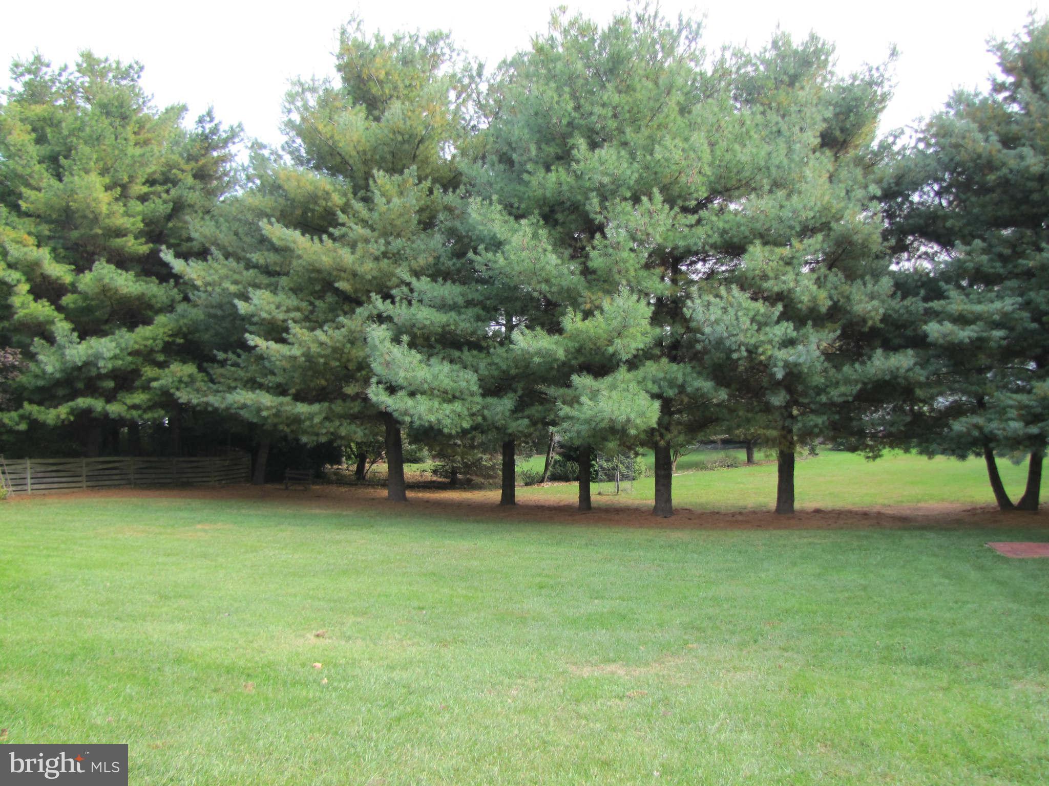 8208 Rippling Branch Road Laurel, MD 20723 - Photo 30 of 30 Back Yard