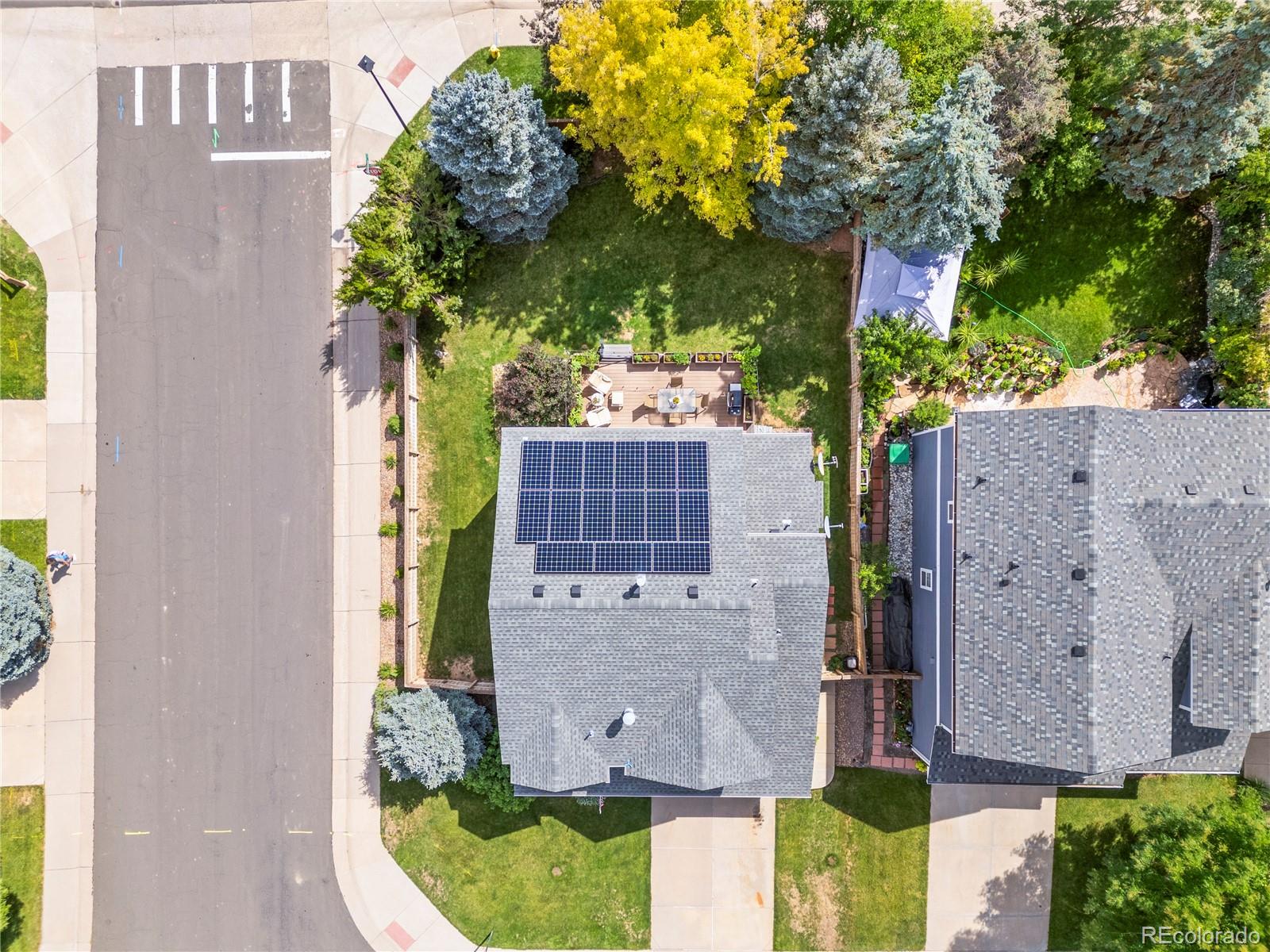 9810 Mulberry Way Highlands Ranch, CO 80129 - Photo 39 of 49 an aerial view of a house with a yard and large tree