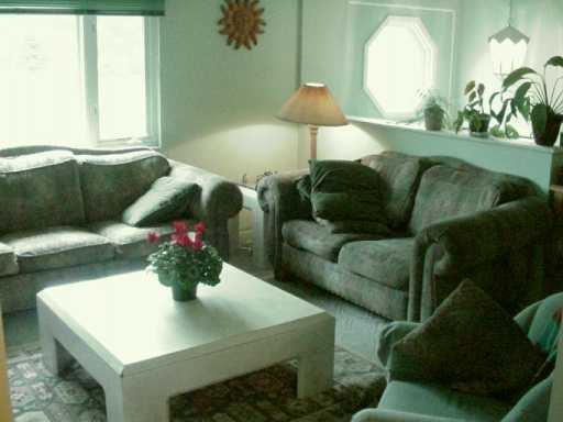 1101 Noblestown Road Oakdale, PA 15071 - Photo 2 of 8 Other.
