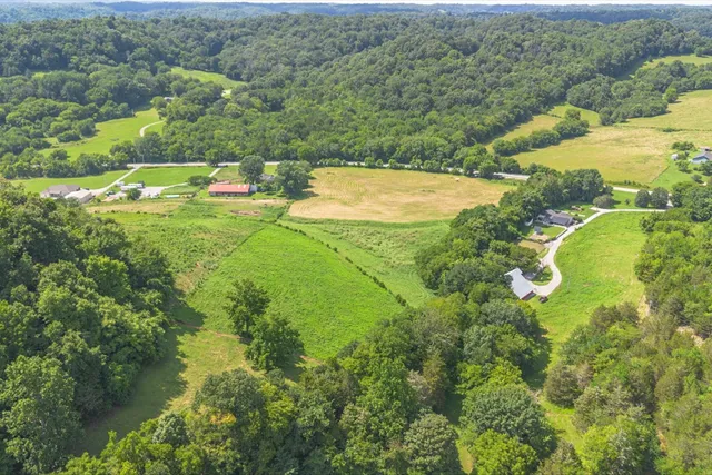 a view of a lake with a mountain in the background