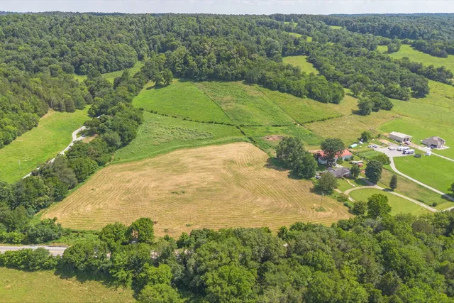 a view of yard with green space