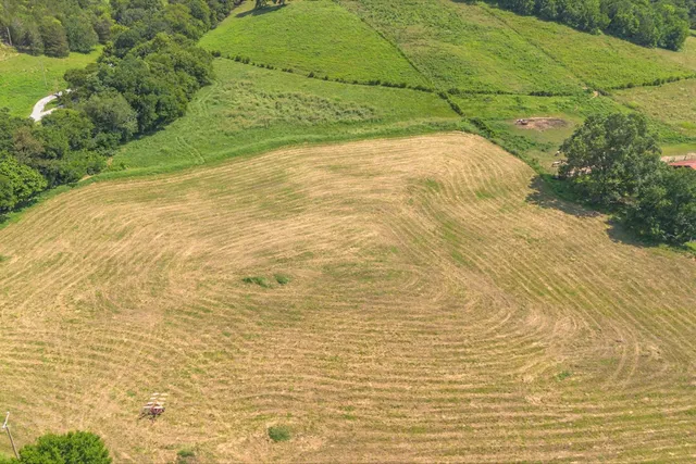 a view of a field with an ocean