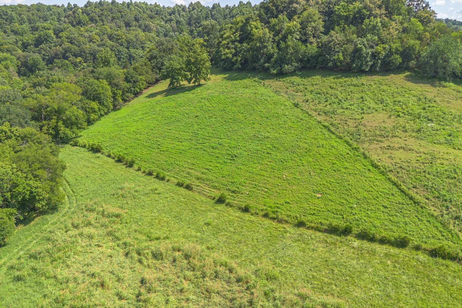 0 Brown Shop Road Petersburg, TN 37144 - Photo 25 of 37 a view of yard with green space