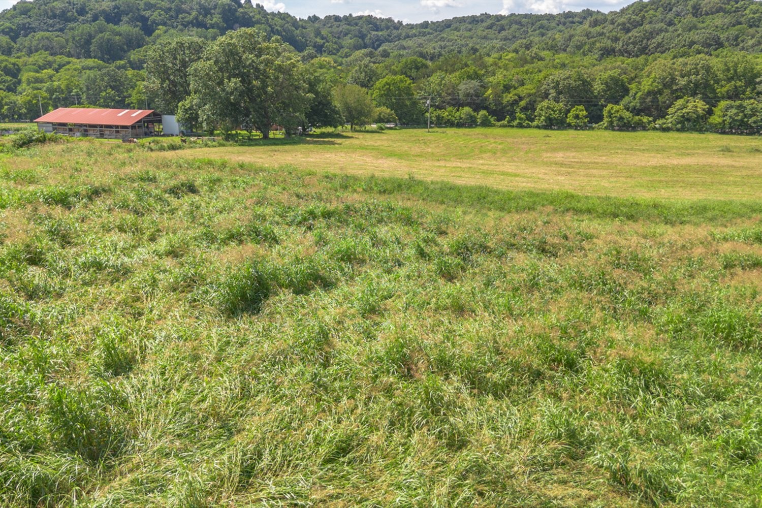 0 Brown Shop Road Petersburg, TN 37144 - Photo 27 of 37 a view of outdoor space with mountain view