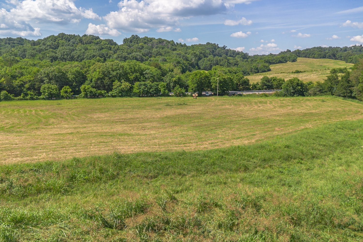 0 Brown Shop Road Petersburg, TN 37144 - Photo 29 of 37 a view of an ocean and a yard