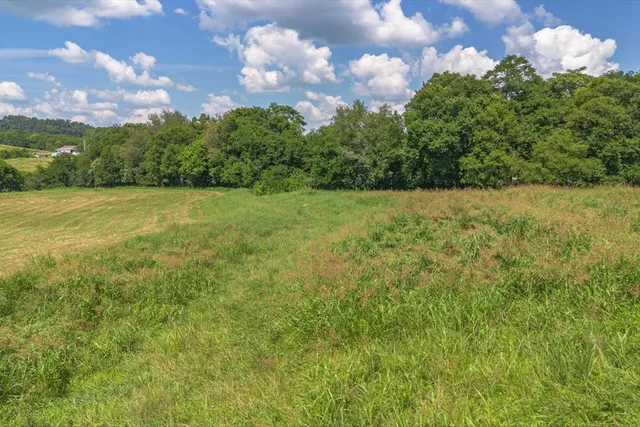 a view of a field with an ocean