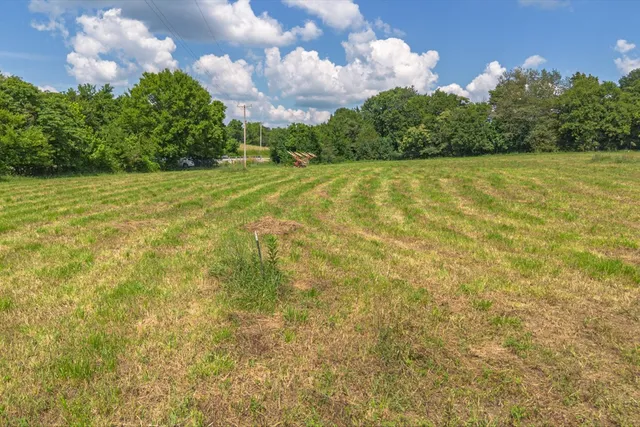 a view of a field with trees in the background