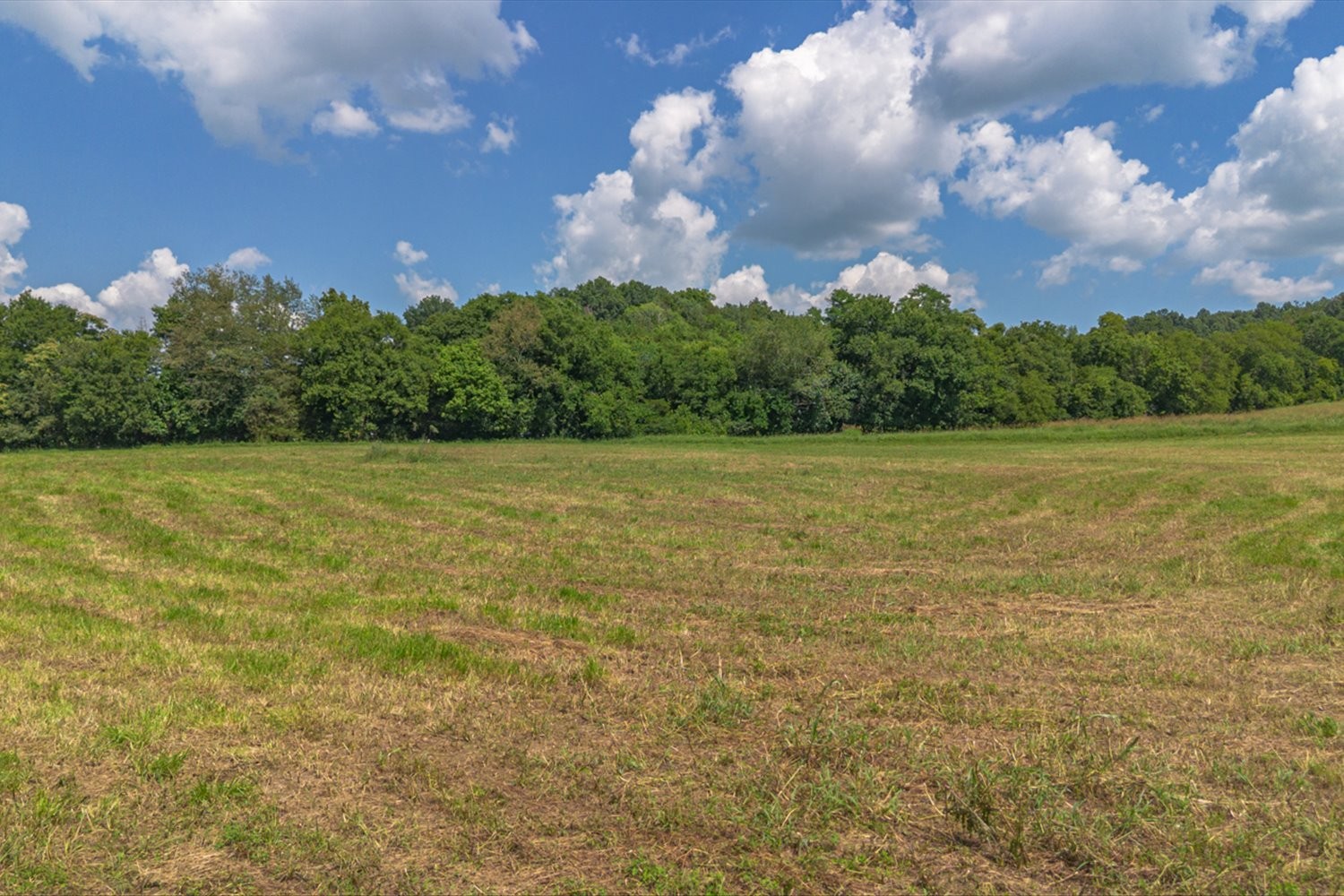 0 Brown Shop Road Petersburg, TN 37144 - Photo 33 of 37